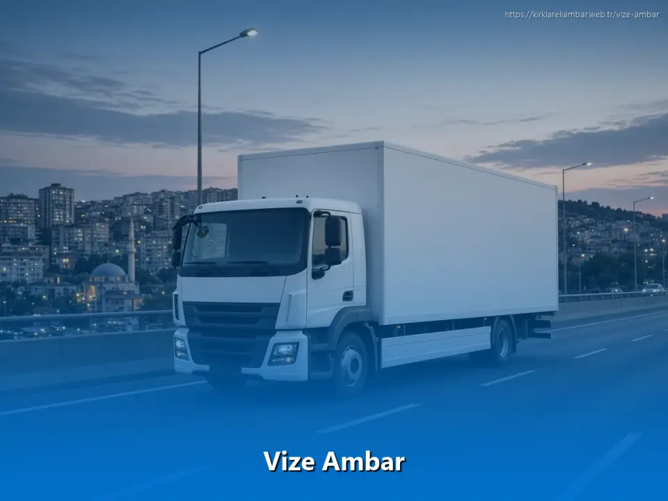 Vize Ambar